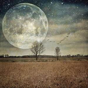 The Astrology Behind The Quot Extra Super Quot November Super Moon