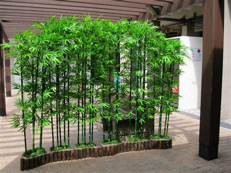 10 Bamboo Garden Ideas Most Of The Awesome And Lovely Bamboo Landscape Bamboo Landscaping