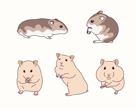 Cute Hamster Illustration 2176096 Vector Art At Vecteezy