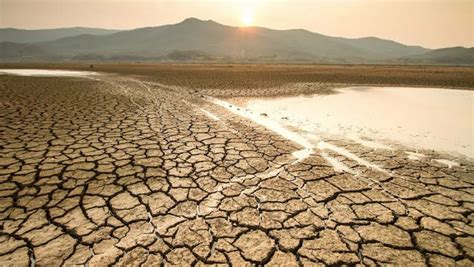 World Day To Combat Desertification And Drought Date Theme