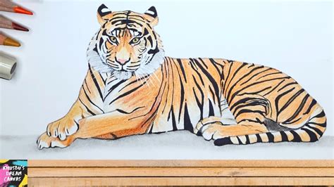 How To Draw Royal Bengal Tiger Tiger Drawing Step By Step Easy