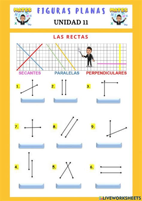 The Diagram Shows How To Draw Parallel Lines In Spanish And Other Words With Pictures On Them