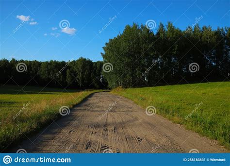 Road Along The Forest With Green Trees And Fresh Grass On A Spring Day