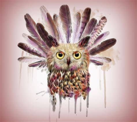 Fractal Owl Abstract Art Drawing Hd Wallpaper Peakpx