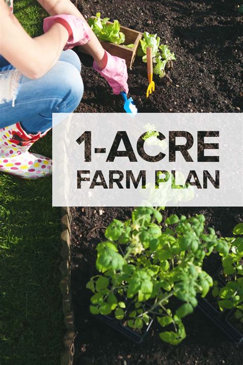 One Acre Homestead Heres What To Plant Raise And Build