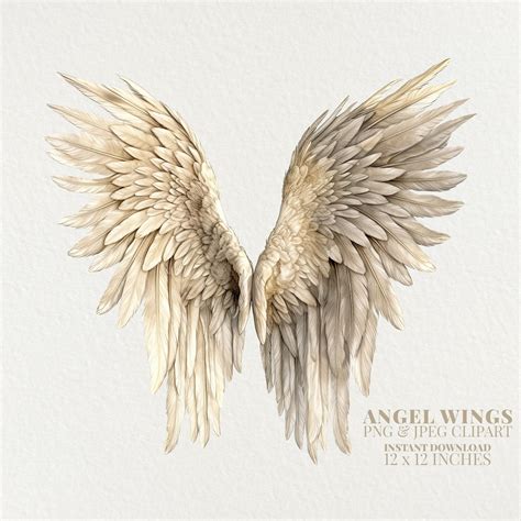 Angel Wings Watercolor Png Commercial Use Clip Art Angelic Wings Png