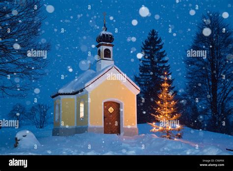 Chapel With Christmas Tree At Snowfall Upper Bavaria Germany Europe