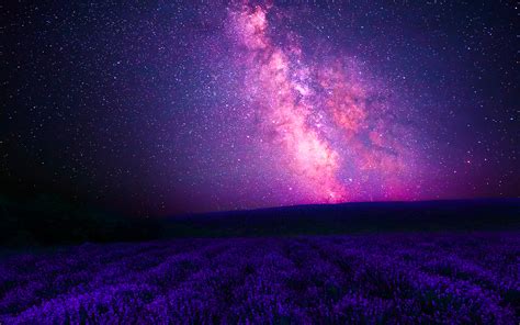 Pink Galaxy And Purple Lavender Wallpapers Pink Galaxy And Purple