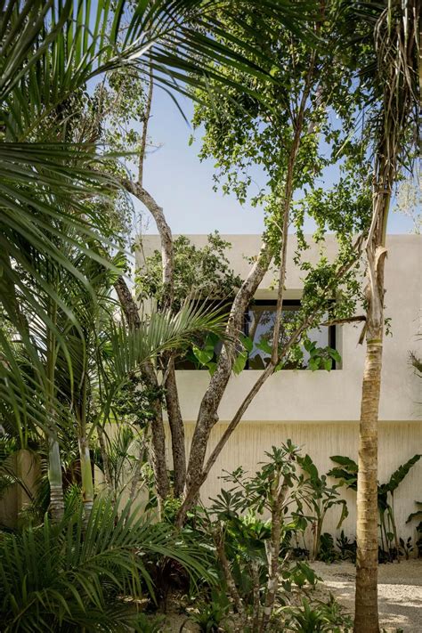 A Peaceful Tropical Holiday Home By Co Lab Design Office In Mexicos