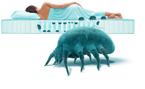 Dust Mites Up To 2 Million In Your Mattress