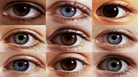 Veja O Que O Formato Dos Seus Olhos Revela Sobre A Sua Personalidade Images