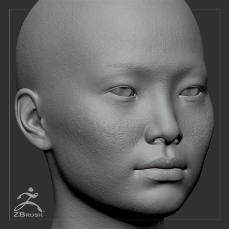 Download free 3d head models. Average Asian Female Head Basemesh | 3D model in 2020 ...