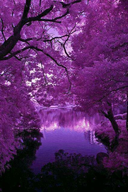 Purple Lake Beautiful Nature Nature Photography Nature