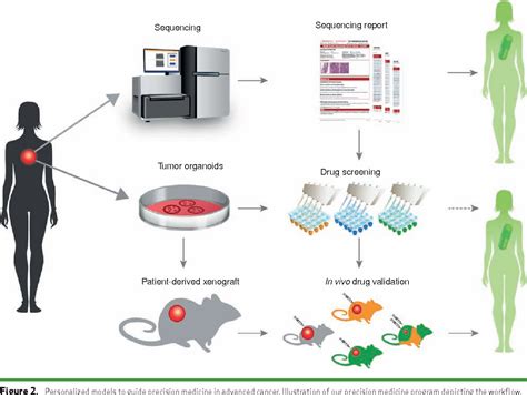 Figure 2 From Personalized In Vitro And In Vivo Cancer Models To Guide