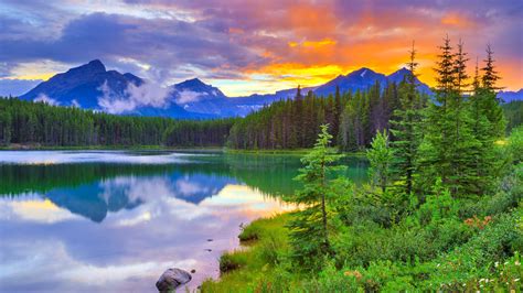 Download Canada Banff National Park Reflection Nature Mountain Forest