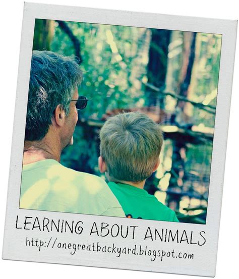 One Great Backyard Get Outside And Play Learning About Animals