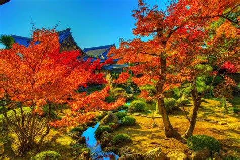 867578 Japan Kyoto Autumn Trees Stream Hdr Rare Gallery Hd