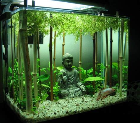 Déco Pour Votre Aquarium17 Idées Laissez Vous Inspirer