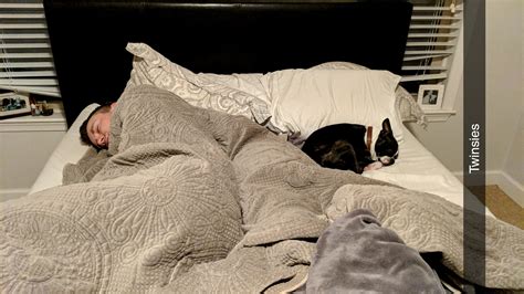 There are salmon, steelhead, trout and. Lazy Sunday mornings... : BostonTerrier