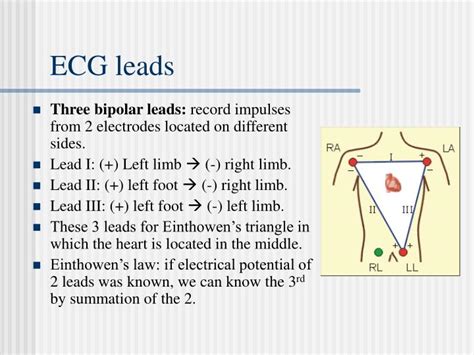 Ppt Action Potential And Ecg Powerpoint Presentation Id504870