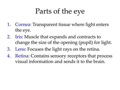 Introductory Psychology Sensation And Perception Vision Ppt