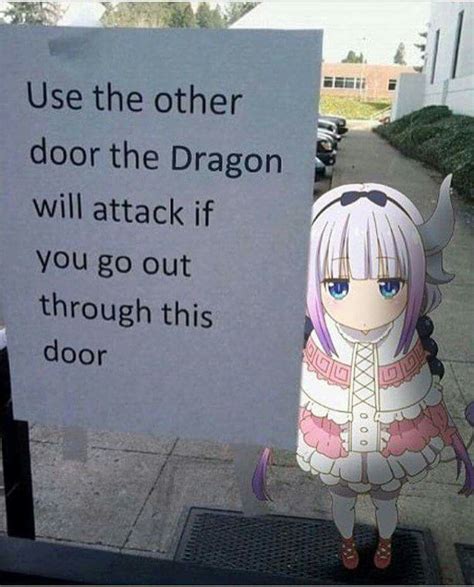 Dragon Will Attack You With Images Miss Kobayashis Dragon Maid