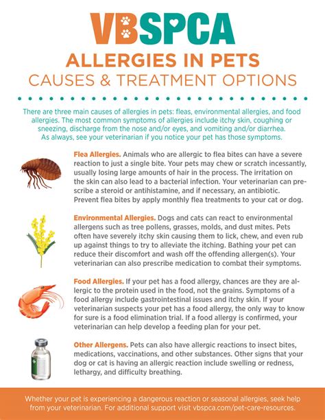 Allergies In Pets Causes And Treatment Options Virginia Beach Spca