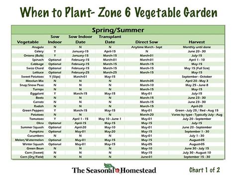 When to Plant Vegetables in Zone 6 - The Seasonal Homestead in 2021