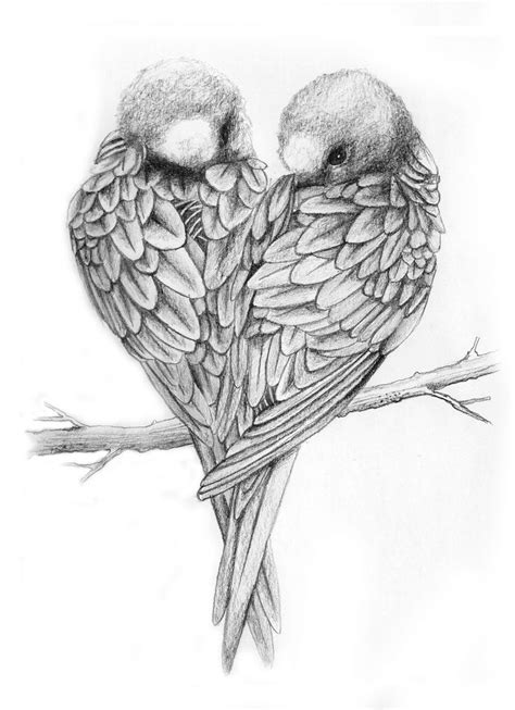 The simplest, yet efficient way of illustration is. Love Birds Drawing - Viewing Gallery | Love birds drawing ...