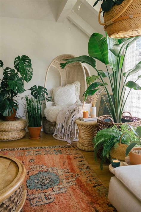 Best Large Houseplants To Add To Your Home