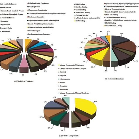 The Graphical Representation Of Functional Domain Analysis Of Selected