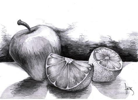Fruits Drawing Pencil