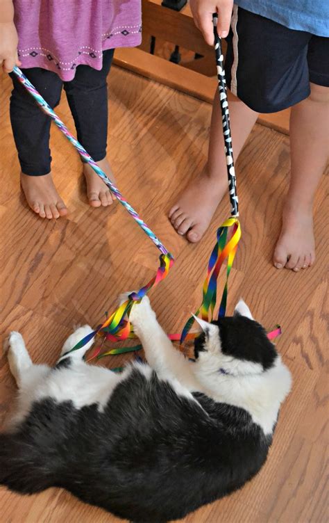 Diy Cat Charmer Ribbon Wand Cat Toy Building Our Story
