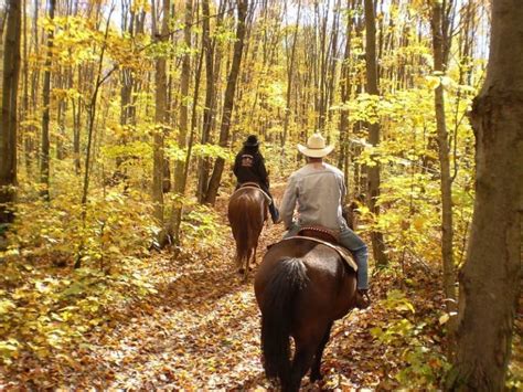 Top Horseback Riding Vacations In The Us
