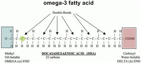 Omega 3 Essential Fatty Acid Structure