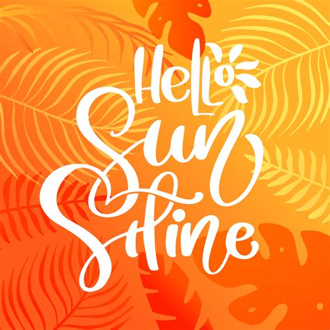 Hello Sunshine Calligraphy Lettering Text For Greeting Card Creative