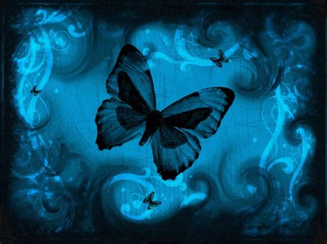 Butterfly Design Wallpaper ~ Funny Wallpaper