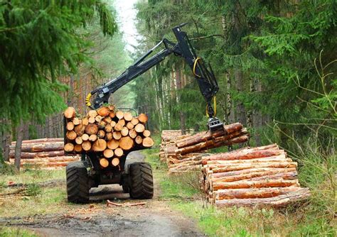 Naics Code 113 Forestry And Logging