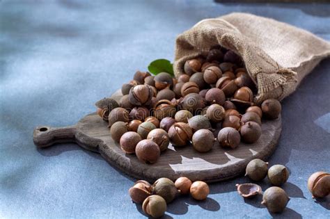 Farmland for growing macadamias is the flowering macadamia trees originated in northeastern australia and take 7 to 10 years to begin macadamia nuts are the most expensive nuts in the world. Australian Macadamia Nuts, Unpeeld Fresh Harvest Stock ...
