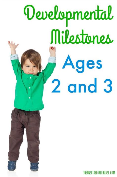 2 And 3 Year Old Milestones The Inspired Treehouse 2 Year Old