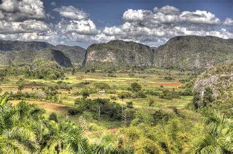 Pablo pavón vinales (born 1945), mexican trade union leader; Viñales Valley, Cuba | Viñales Valley is an outstanding ...