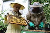 Nachwuchs-Bienenzüchterin ist stolz auf ihr eigenes Volk in ...