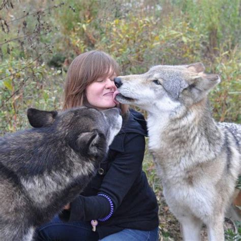 A Woman Sitting On The Ground With Two Wolfs And One Is Kissing Her Face