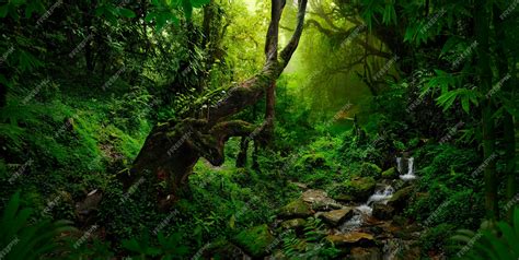 Premium Photo Tropical Jungles Of Southeast Asia