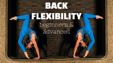 Quick And Easy Back Flexibility Follow Along Stretching Routine Youtube