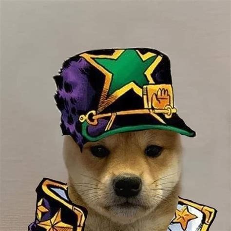 Пин от пользователя Hermes♡ на доске Dog With Hat Собачки Костюмы