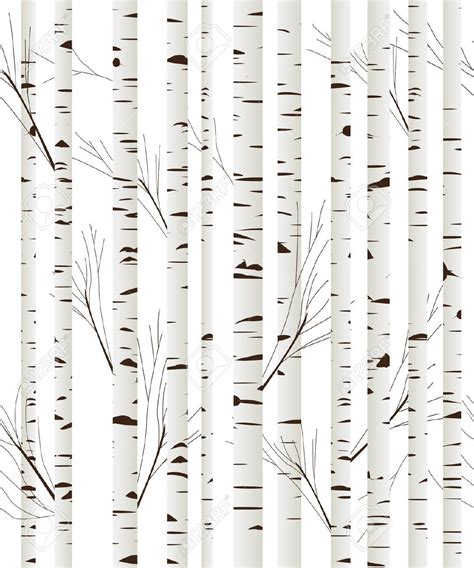 Black And White Birch Tree Wallpaper Birch Tree Wallpaper Tree