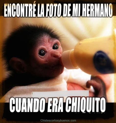 10 Ideas De Amor Memes Divertidos Memes Graciosos Chiste Meme