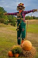 Best DIY Scarecrow Costume Ideas For Halloween That You Will Love