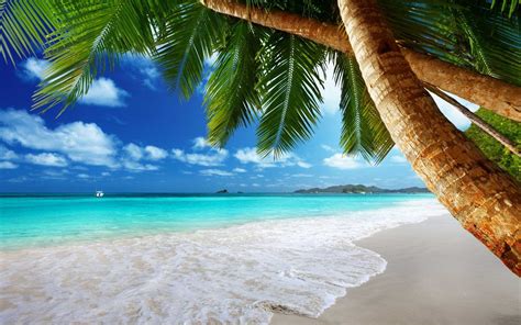 Tropical Beach Landscape Wallpapers Top Free Tropical Beach Landscape